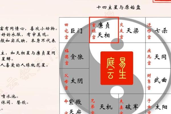 紫薇斗数看财运方位