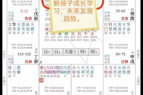 紫微斗数怎样看什么人工作上带发展前景