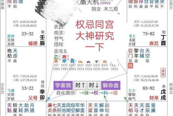 紫薇斗数免费算命大全