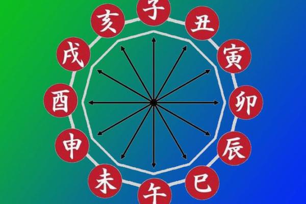 国际八字排盘