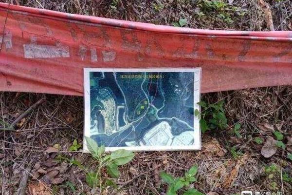 房子被雷劈风水