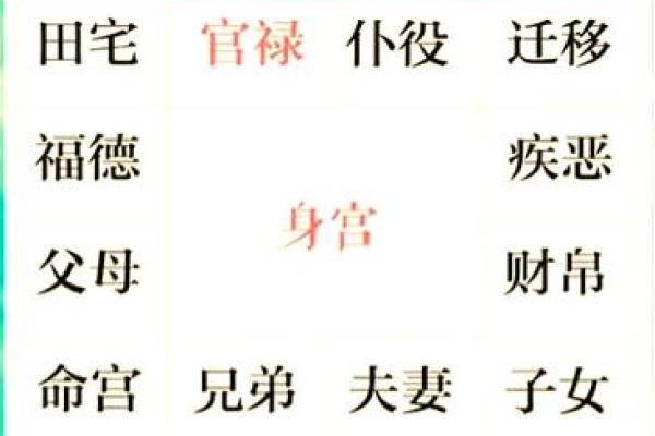 紫薇斗数身宫未