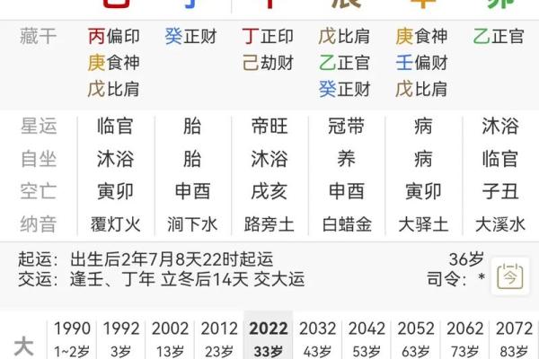 八字印在地支