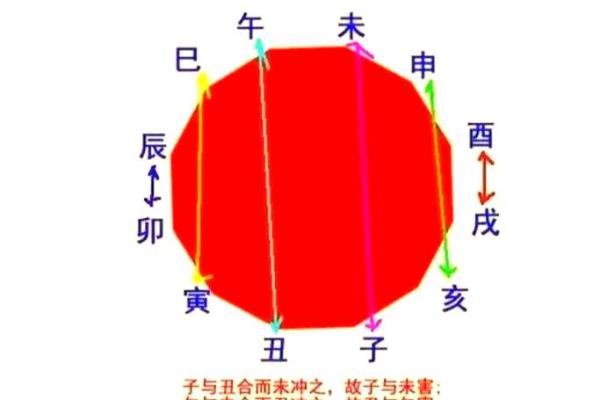 八字印在地支