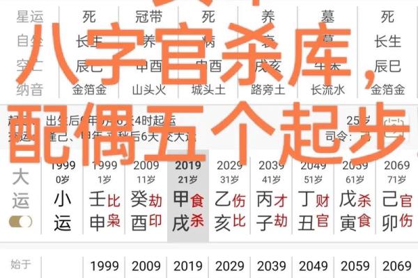 男人内心最爱的女命八字