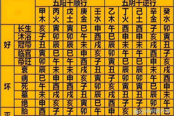 八字阳干和阴干怎么看