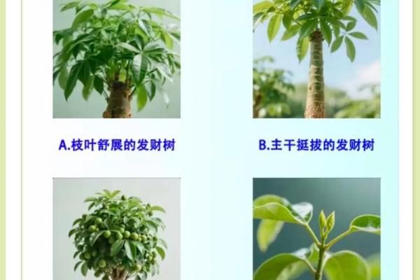 才储心理测试,专业心理测试