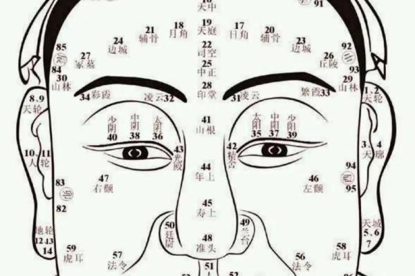 额头胎记算命
