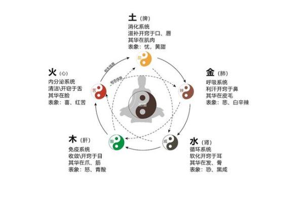 观世音菩萨灵签金木水火土