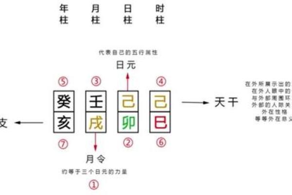 如何通过八字强弱格判断命运？