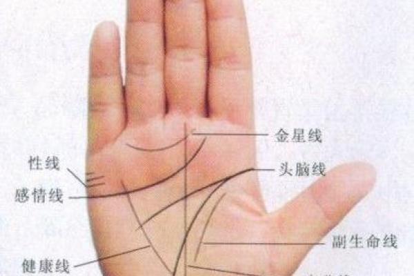 女性怎么看手相算命 手掌绵软厚实命中带有富贵