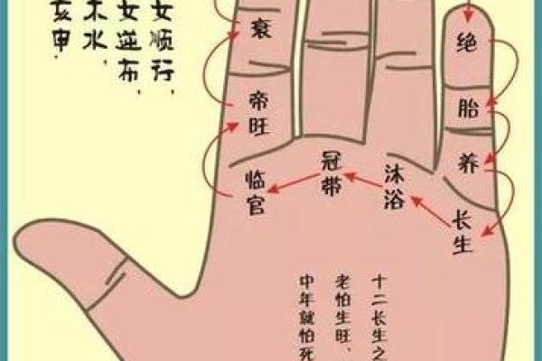 女性怎么看手相算命 手掌绵软厚实命中带有富贵