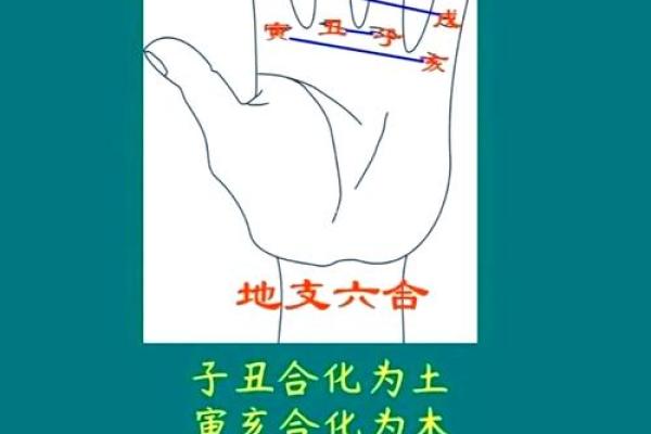 八字基础教学