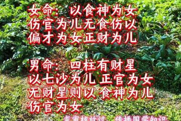 女八字身弱食神旺