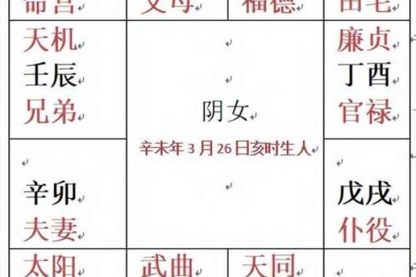 紫薇斗数排盘死