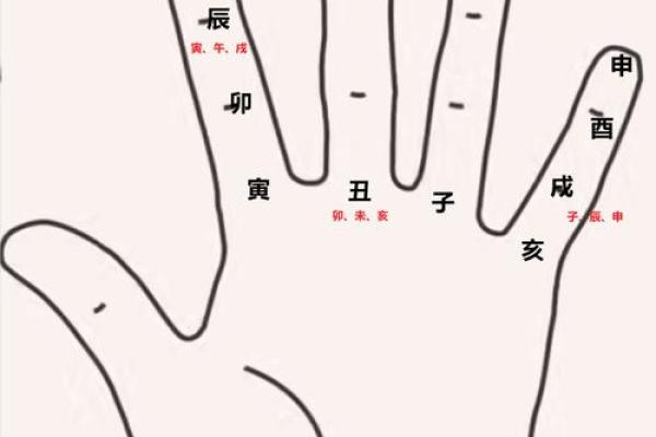 紫薇斗数大限工作