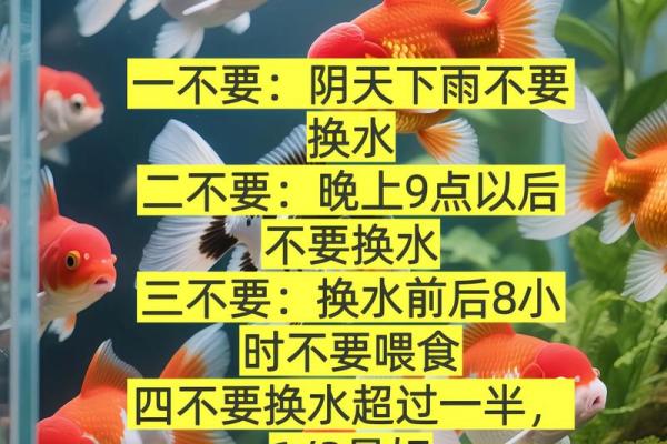 风水角度鱼从鱼缸里跳出来有什么寓意预兆