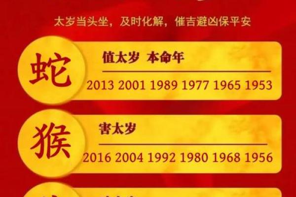 算命蛇猪