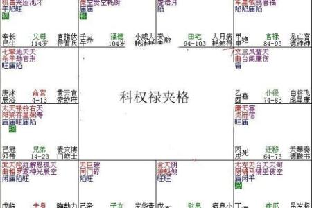 紫薇斗数夹辅