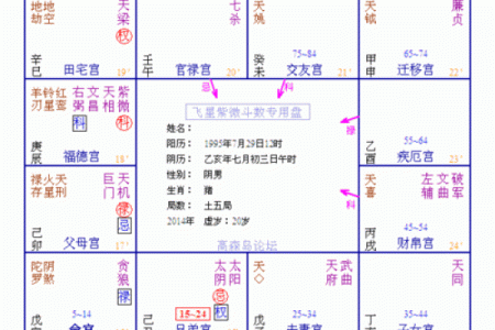 情商高的紫薇斗数