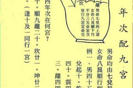 紫薇斗数掌决