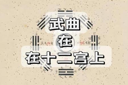 紫薇斗数实战视频