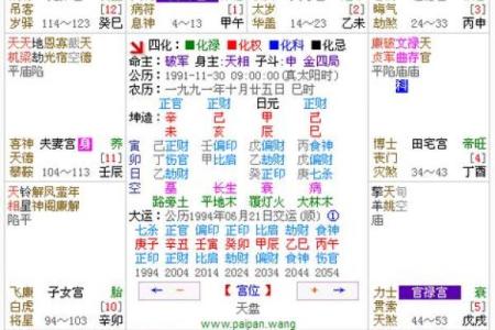 查紫薇斗数