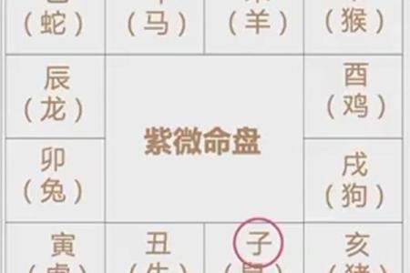 紫薇斗数平是什么意思