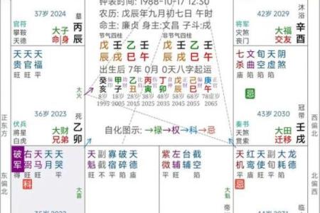 紫薇斗数流年考运