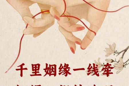 月老姻缘歌曲 月老姻缘的句子？