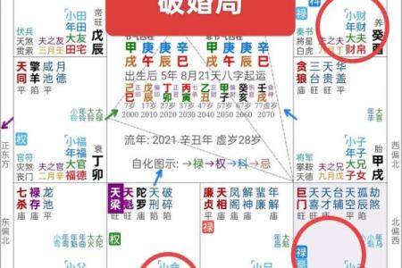 紫微斗数之父母宫与诸星，巨门星在父母宫是什么意思？