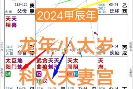 紫薇斗数批流年男顺女逆