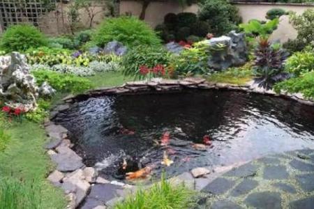 家庭鱼池风水 家庭鱼池风水摆放