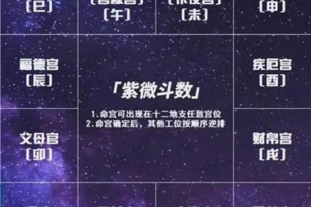 紫薇斗数子女宫巨门陷