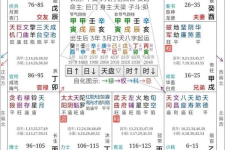 紫薇斗数免费算命大全