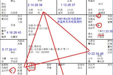 紫薇斗数适合怀孕