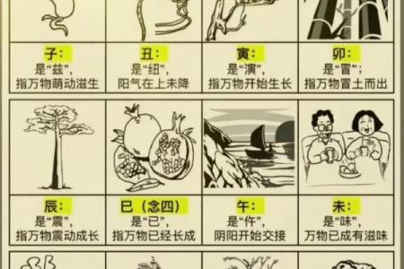 八字祸害的意思,算命中祸害