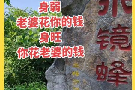 男命八字不利婚姻什么意思 丙午丁巳壬子