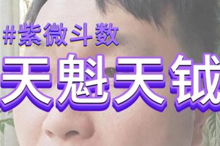 紫微斗数关于天魁天钺星的部分解析