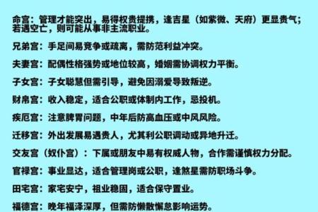 紫薇斗数测事业成就