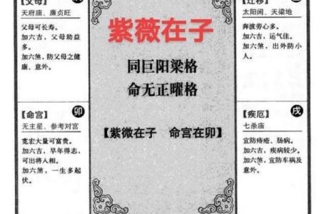 紫微斗数死亡 紫微斗数 死亡？
