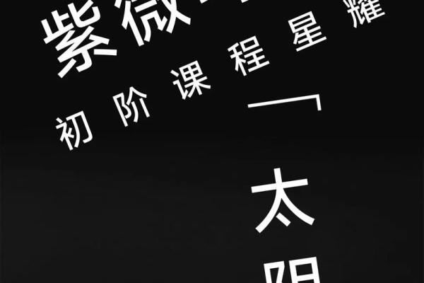 紫薇斗数的太阴