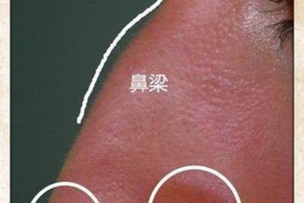 为什么说大鼻子女人不能要风水观点