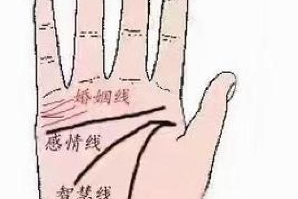算命看手相算命图解 女性子女线