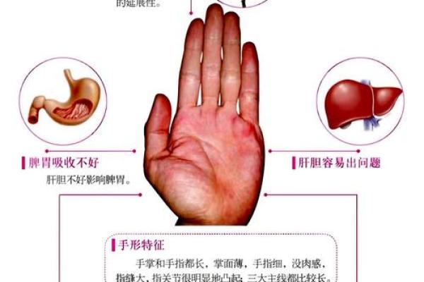 看手相算命：第三课 指头与掌型