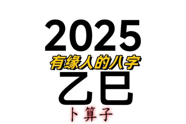八字乙巳日