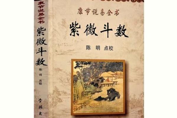 紫薇斗数精成大家