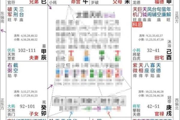 紫薇斗数精成大家