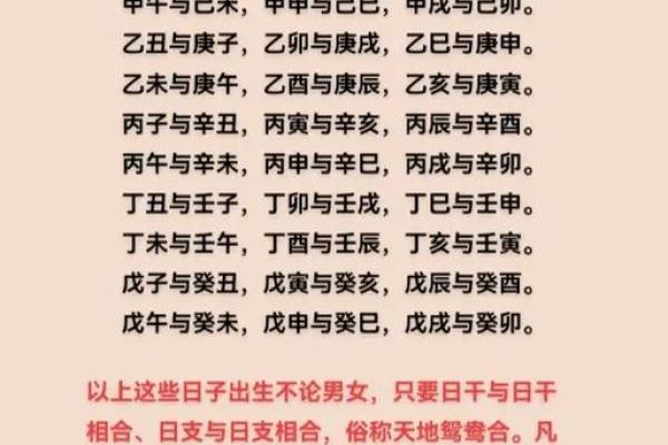 八字合盘
