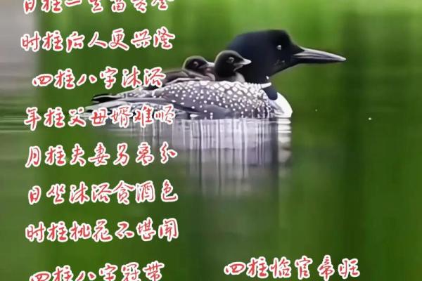 沐浴八字